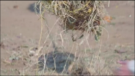 Meet - 24th December 2022